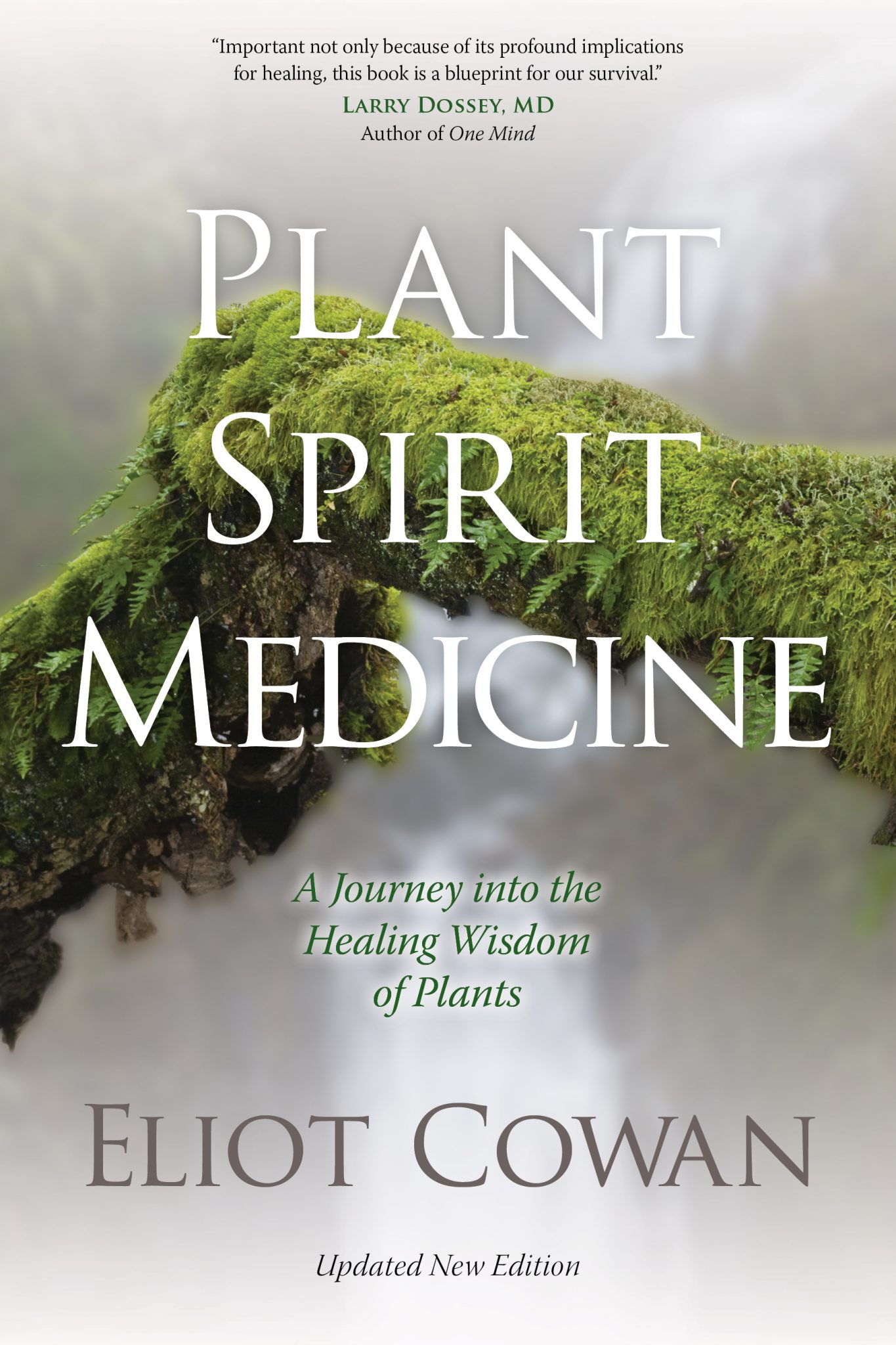Plant Spirit Medicine The Legacy of Eliot Cowan